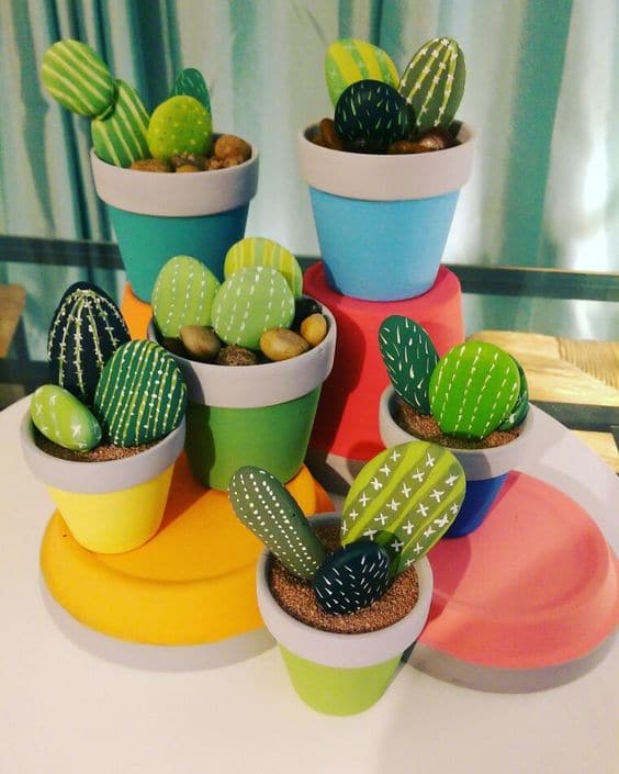 mini jardin cactus